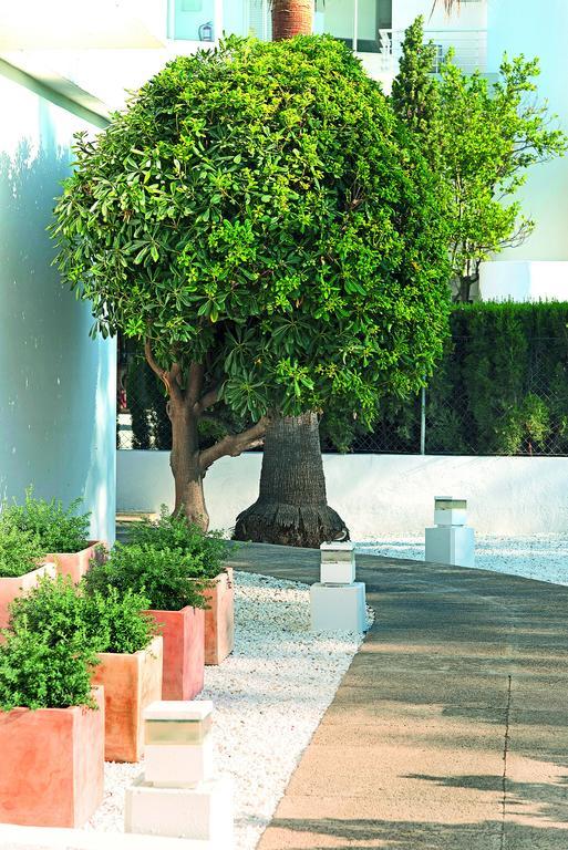 Cabot Sivella Apartments Port de Pollença Eksteriør billede